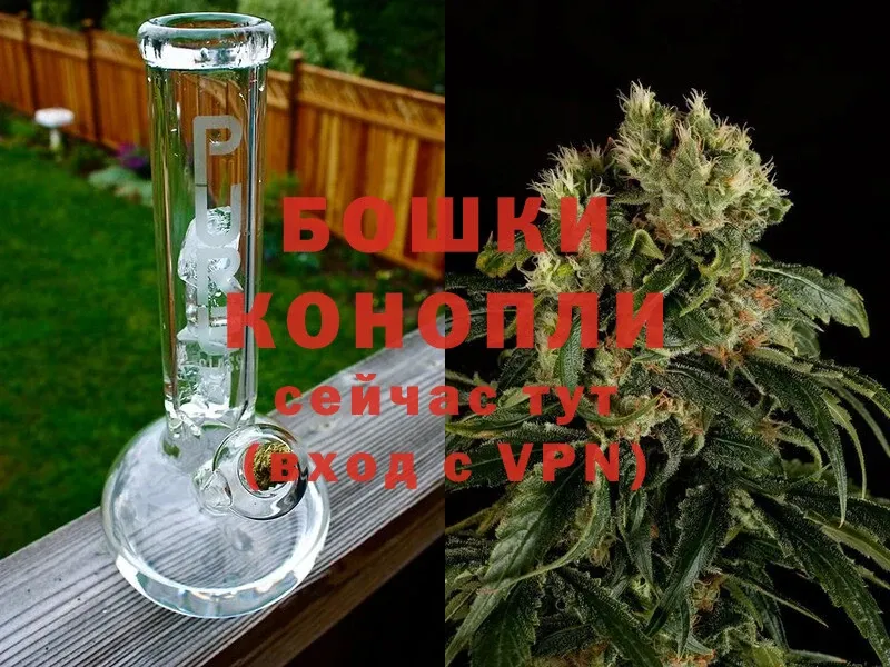 купить наркоту  Нижний Ломов  Каннабис индика 